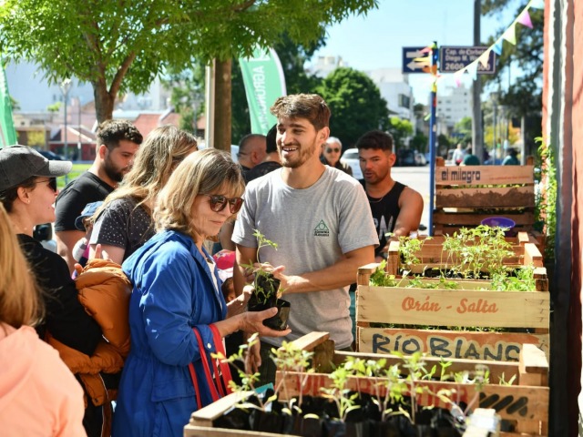 Se realizar una nueva jornada de entrega de plantines